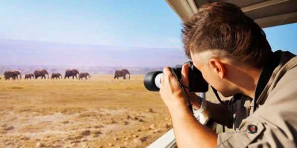 Career As Wildlife Photographer